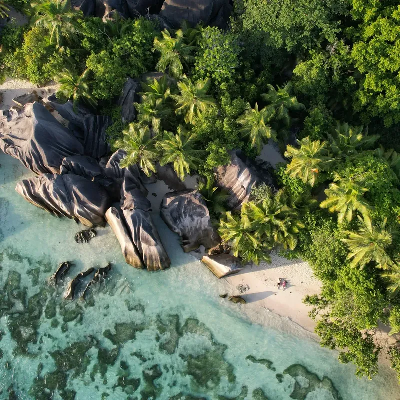 Aerial view of the granite coastline, palms and white sand from above